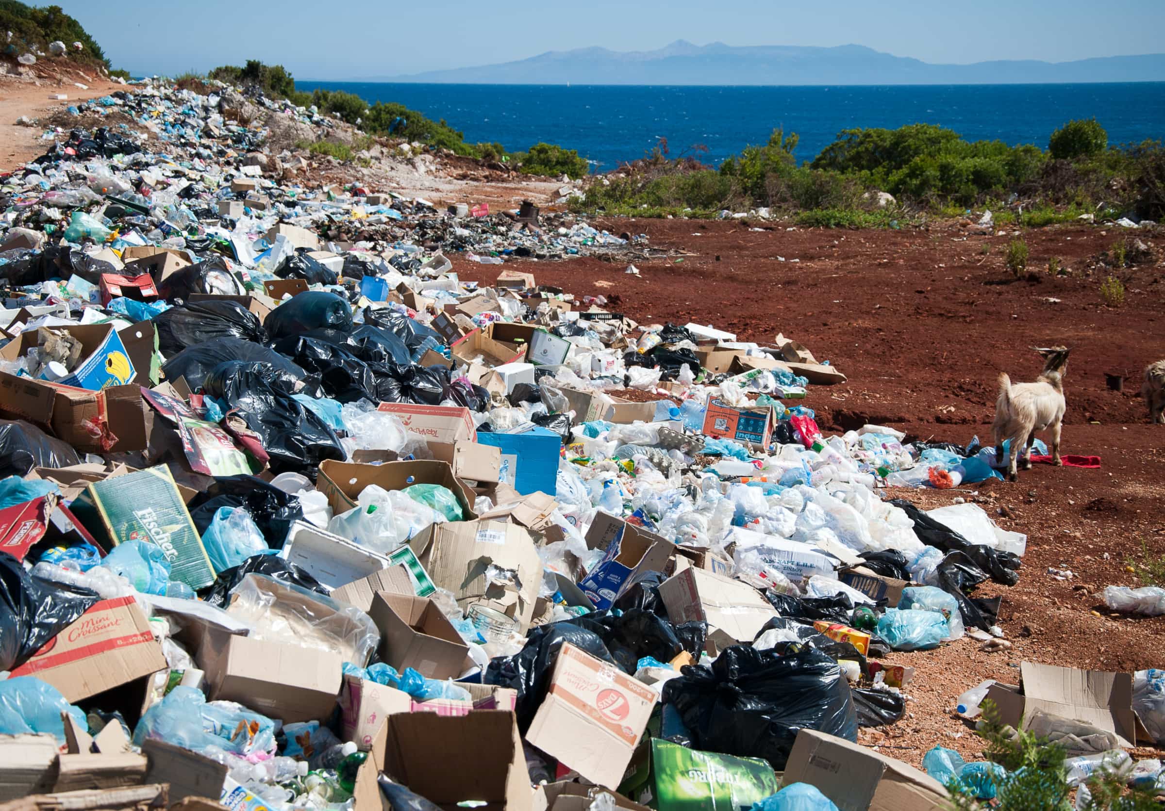 die cut box Packaging waste in a landfill