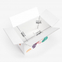 Auto Bottom Slotted Container