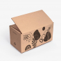 Full Slotted Container